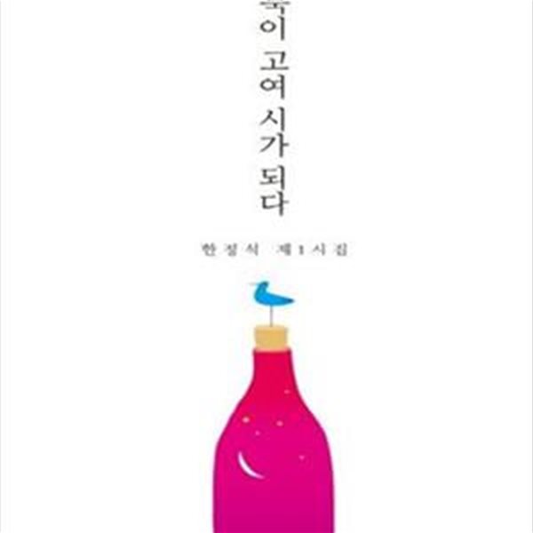 침묵이 고여 시가 되다 (한정석 제1시집)