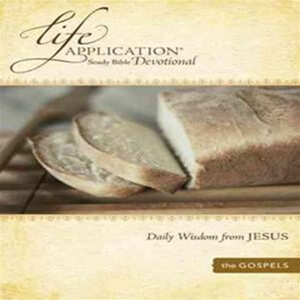 Life Application Study Bible Devotional (Daily Wisdom from the Life of Jesus)