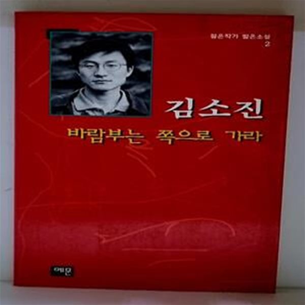 바람부는 쪽으로 가라 - 초판