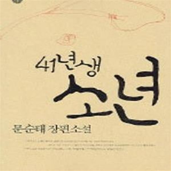 41년생 소년 (문순태 장편소설)