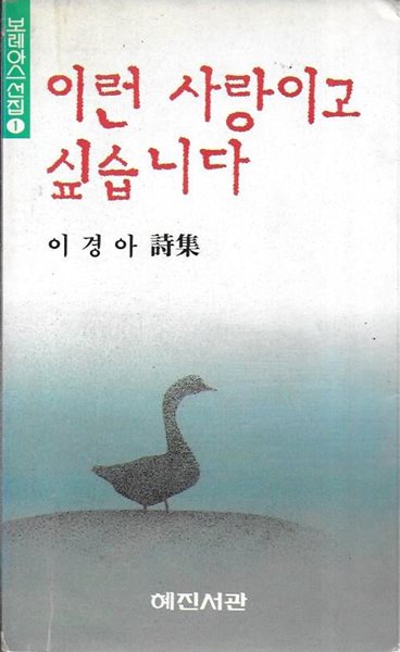 이런 사랑이고 싶습니다 : 이경아 시집