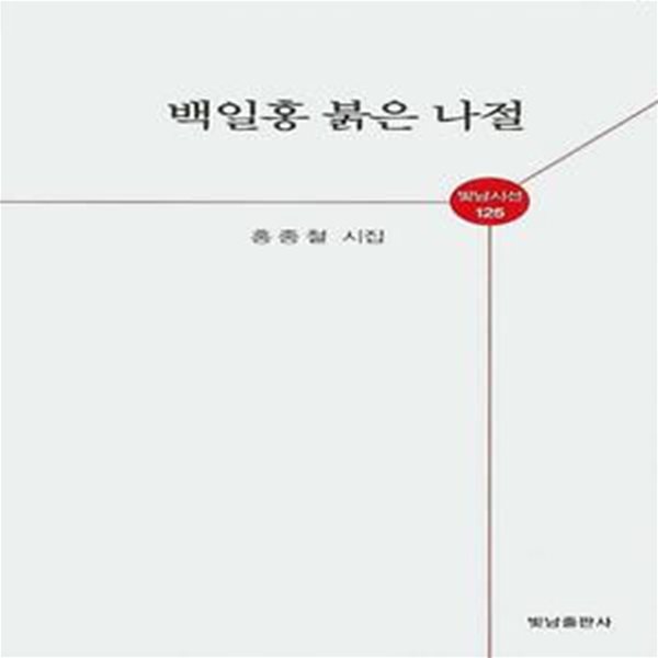 백일홍 붉은 나절 (홍종철 시집)