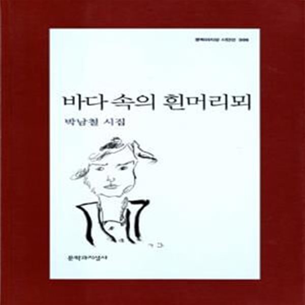 바다 속의 흰머리뫼 (2005년 문학과지성사 초판, 저자서명본, 박남철 제6시집, 문학과지성 시인선 306)