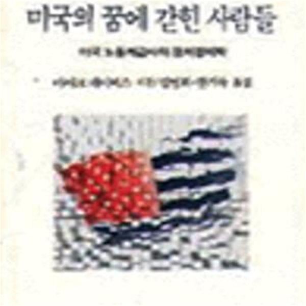 미국의 꿈에 갇힌 사람들 (창비신서 129)