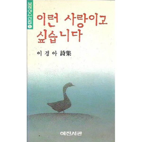 이런 사랑이고 싶습니다 : 이경아 시집