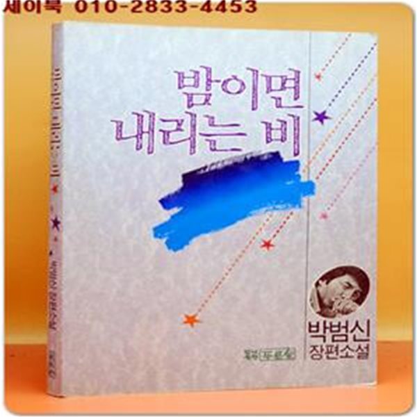 밤이면 내리는 비 - 박범신 장편소설 