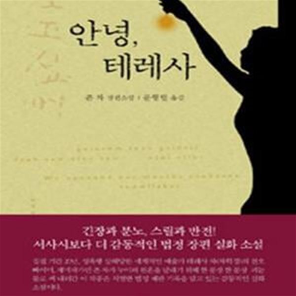 안녕, 테레사 (존 차 장편소설)