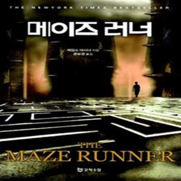 메이즈 러너 (메이즈 러너 시리즈 1)