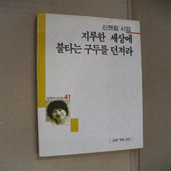 지루한 세상에 불타는 구두를 던져라 (세계사시인선 41)