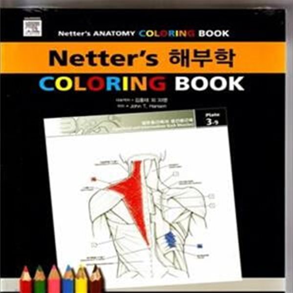 NETTERS 해부학 COLORING BOOK