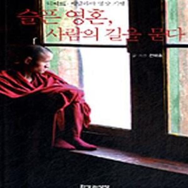 슬픈 영혼 사람의 길을 묻다 (티베트 히말라야 명상 기행)