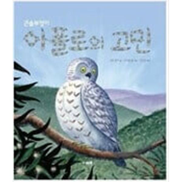 큰솔부엉이 아폴로의 고민 