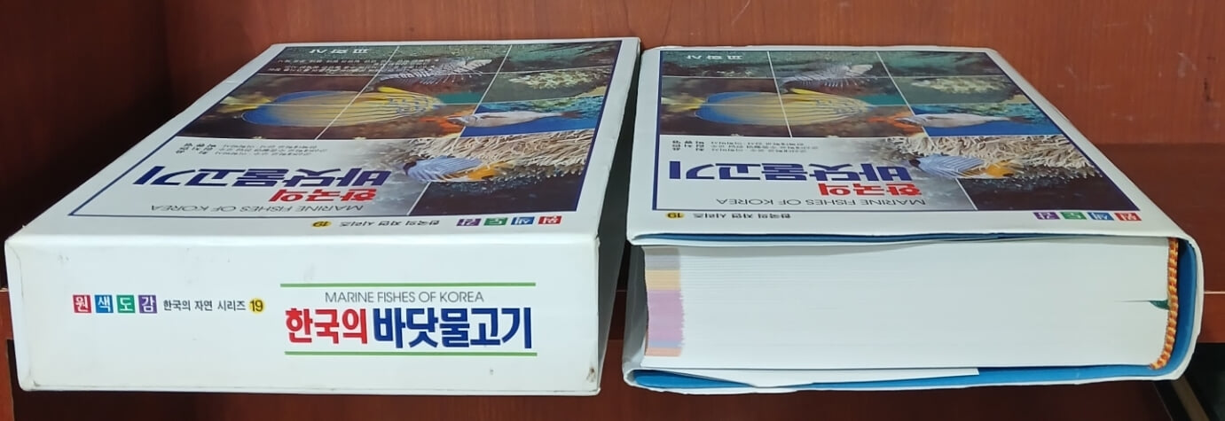 한국의 바닷물고기