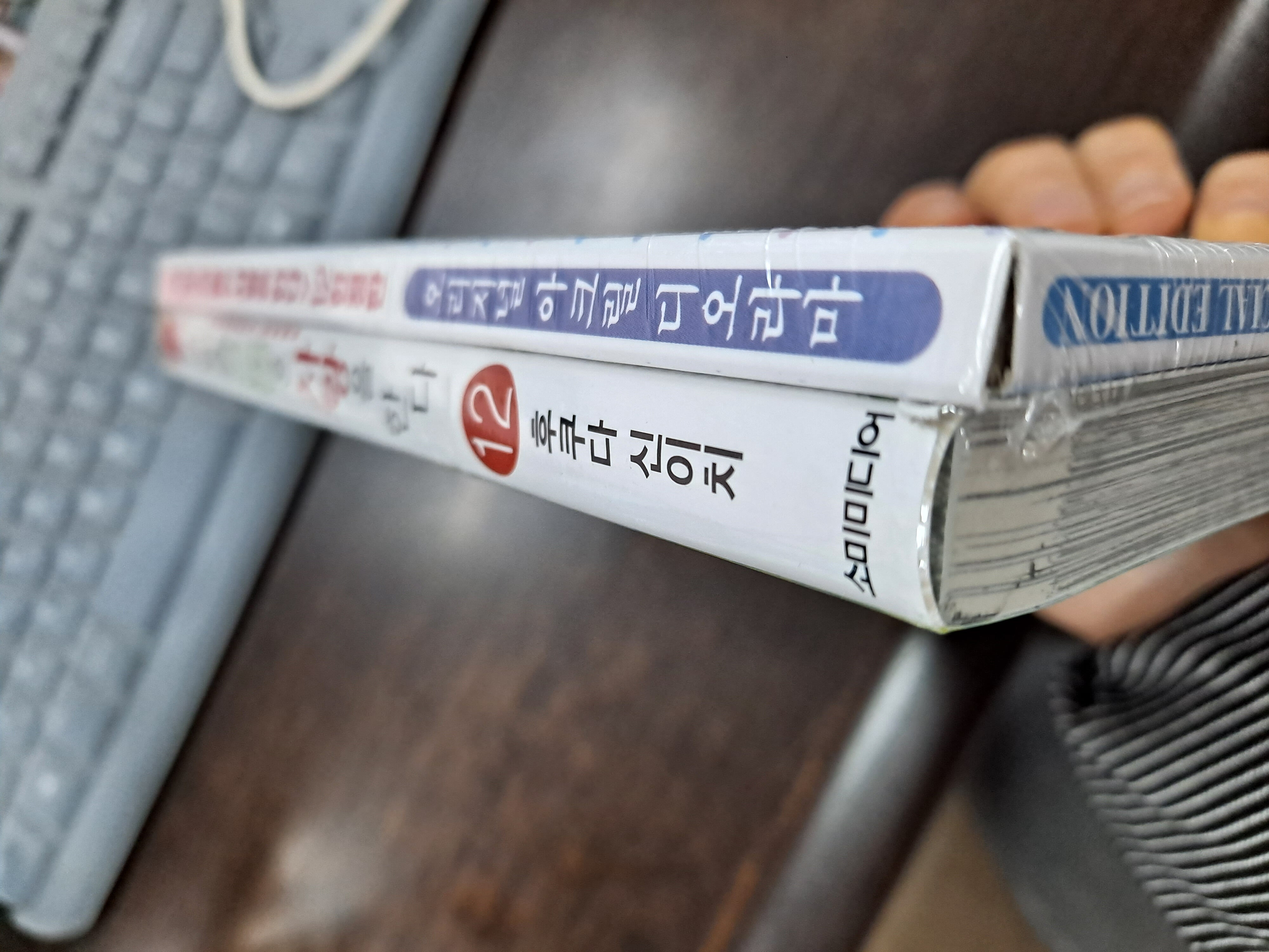 그 비스크 돌은 사랑을 한다 12 한정판