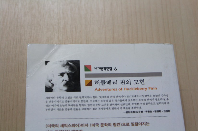 허클베리 핀의 모험