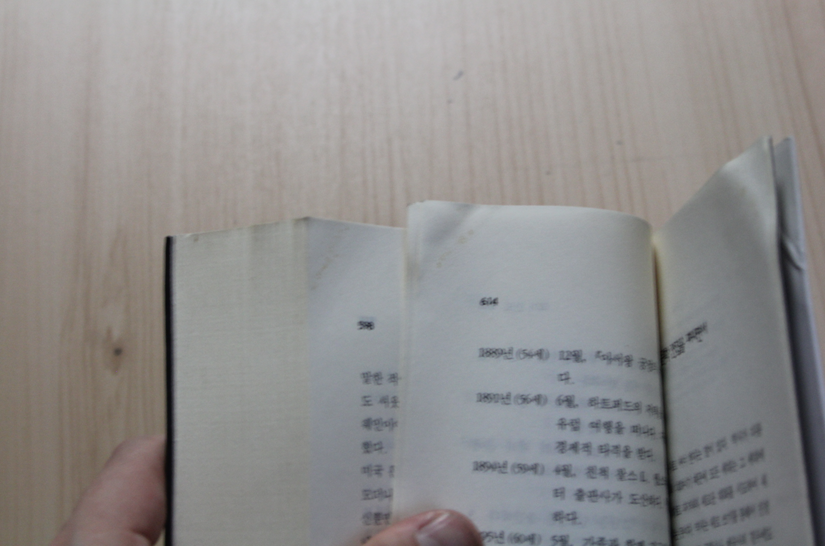 허클베리 핀의 모험