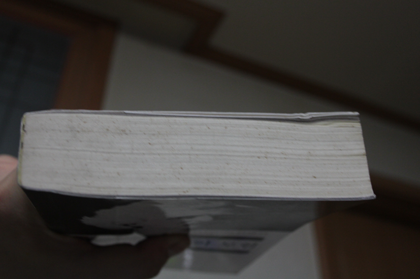 허클베리 핀의 모험