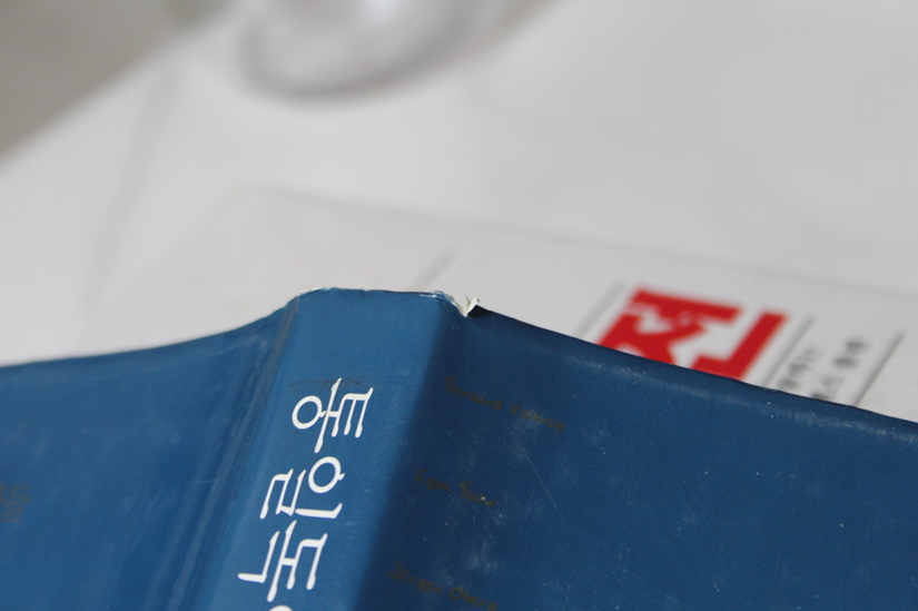 통일독일과의 대화