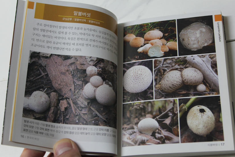 한국의 버섯