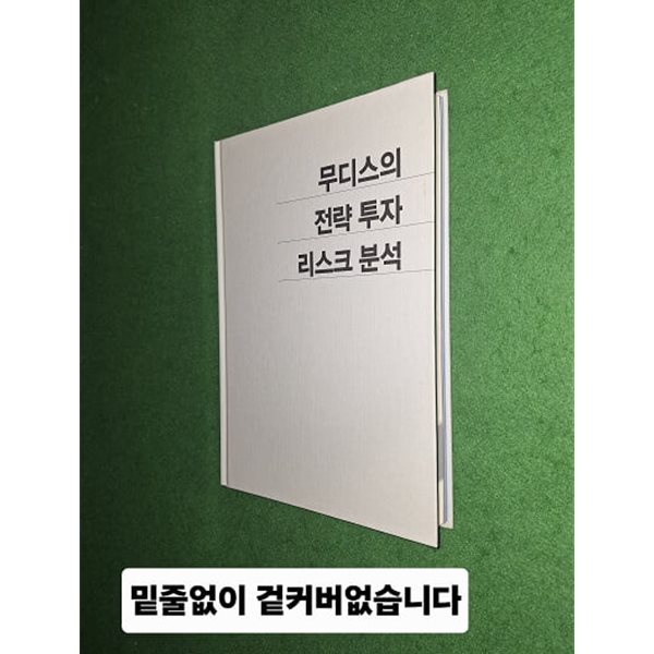 무디스의 전략 투자 리스크 분석