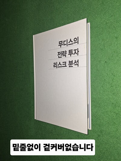 무디스의 전략 투자 리스크 분석