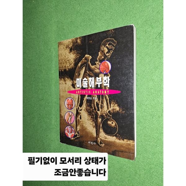 미술해부학