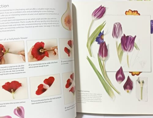 BOTANICAL PAINTING IN WATERCOLOUR(빌리 쇼웰의 수채화 식물화) -2017년,영어판- 235/257, 192쪽,하드커버-미사용 최상급-